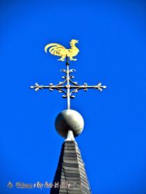 IMG_0134_Detail (1).jpg