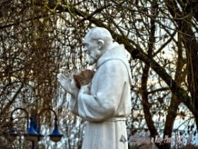 IMG_0223_Detail.jpg