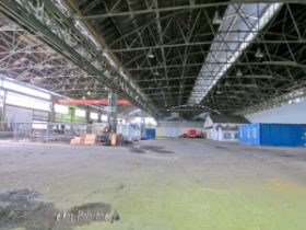 IMG_0205_Detail.jpg