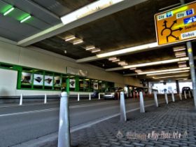 IMG_0075_Detail.jpg