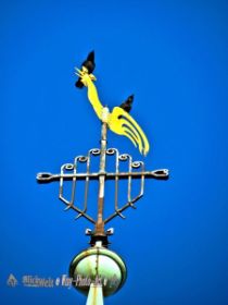IMG_0113_Detail.jpg