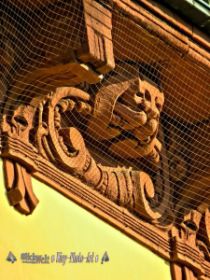 IMG_0123_Detail.jpg